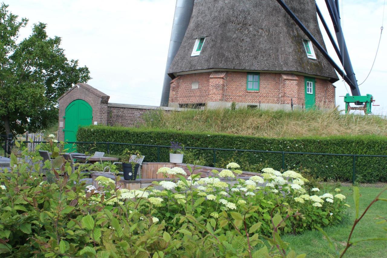 Bij Molen De Blazekop, Rustig En Landelijk Ovezande מראה חיצוני תמונה