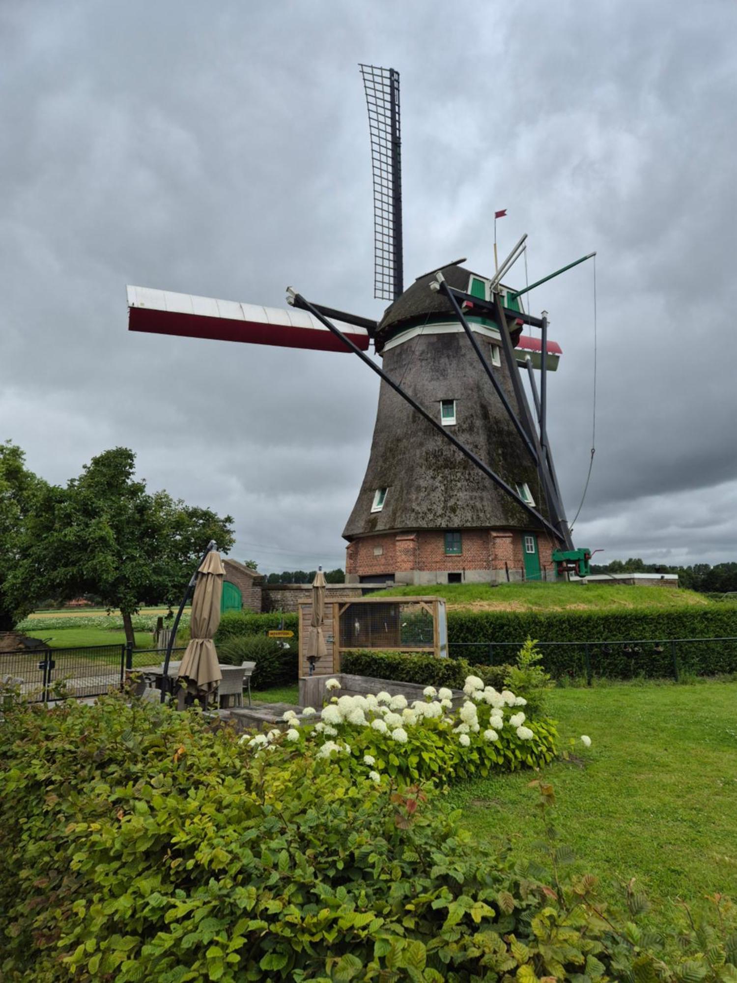 הוילה Ovezande Bij Molen De Blazekop, Rustig En Landelijk מראה חיצוני תמונה